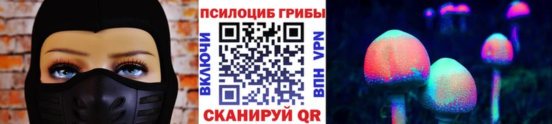 Галлюциногенные грибы прущие грибы Белая Калитва