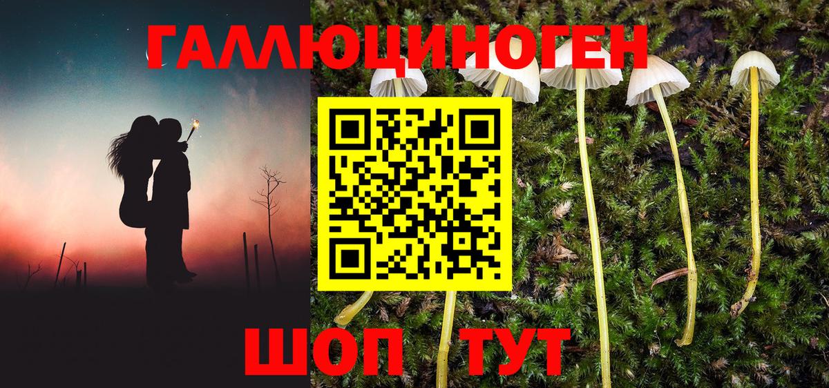 Псилоцибиновые грибы Magic Shrooms  Вход с VPN  Галлюциногенные грибы мухоморы  Белая Калитва 
