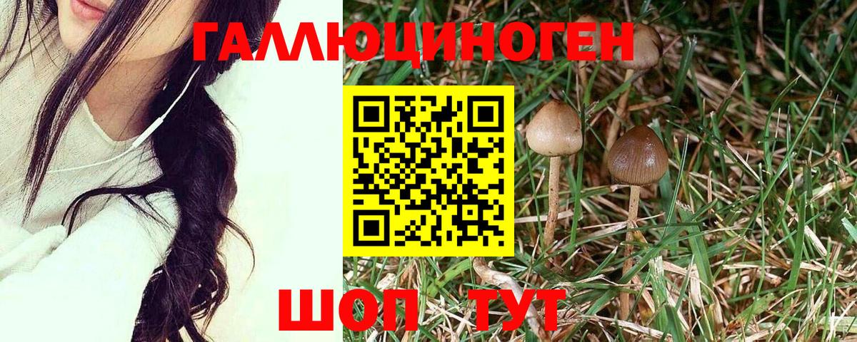 Галлюциногенные грибы Cubensis Белая Калитва